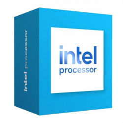 Intel Processor 300 3,9GHz 6MB LGA1700 BOX (BX80715300)